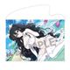 シノビマスター 閃乱カグラ NEW LINK B2タペストリー WD2020 Ver. 雪不帰 [キャラクターグッズ]