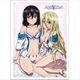 ストライク・ザ・ブラッド スリーブ 姫柊雪菜＆アヴローラ [キャラクターグッズ]