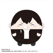 ハイキュー！！ ふわコロりん BIG ぬいぐるみ スペシャル B 影山飛雄 [キャラクターグッズ]