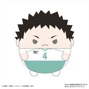 ハイキュー！！ ふわコロりん Mサイズ 4 ぬいぐるみ B 岩泉一 [キャラクターグッズ]