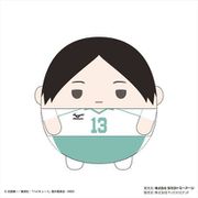 ハイキュー！！ ふわコロりん Mサイズ 4 ぬいぐるみ D 国見英 [キャラクターグッズ]