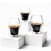 AVENSI アヴェンシ ダブルウォールグラスコーヒーカップ 電子レンジ・食洗器対応 ICBRAVENFG3