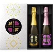 薩摩スパークリングセット（SP-HUY） 8度 375ml×2本 [リキュール]