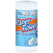 破れにくいペーパータオル 60カット （1シート：275mm×240mm） PR01-WH