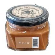 0151501 171 [カラーペースト 100ml キャメル]