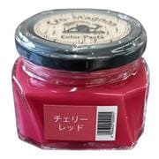 0151501 187 [カラーペースト 100ml チェリーレッド]