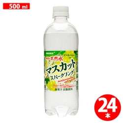 伊賀の天然水 マスカットスパークリング 500ml×24本 [炭酸水]