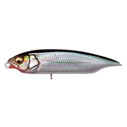 KARASHI SW FS LZ トウゴロウ