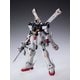 MG 機動戦士クロスボーン・ガンダム XM-X1 クロスボーンガンダムX-1 Ver.Ka [1/100スケール 組立式プラスチックモデル 2024年9月再生産]