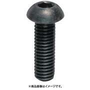 YAHATA 六角穴付ボタンボルト 黒色酸化被膜 M12×25 (100本入)