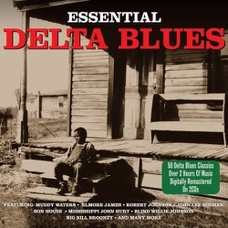 VARIOUS/ESSENTIAL DELTA BLUES [輸入盤CD]