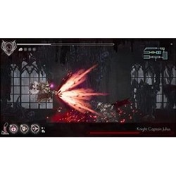 ENDER LILIES 北米限定版　PS4版単体販売 エンダーリリィズ ENDER LILIES 北米版 PS4 プレイステーション4