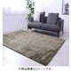制菌加工・洗えるシャギーラグ すべり止め付 185×185cm グリーン