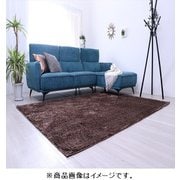 制菌加工・洗えるシャギーラグ すべり止め付 185×185cm ブラウン
