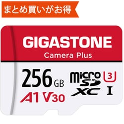 Camera Plusシリーズ microSDXCカード 256GB Class10 UHS-I U3 V30 A1 最大読込100MB/s 最大書込60MB/s アダプタ付 GJMX-256GA1U3R
