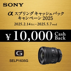 ヨドバシ.com - ソニー SONY SELP1635G FE PZ 16-35mm F4 G