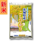 茨城県産 こしひかり 5kg 令和7年産