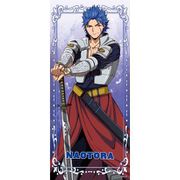 オリエント スポーツタオル 武田尚虎 [キャラクターグッズ]