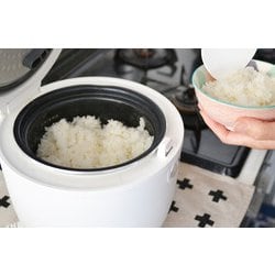 ヨドバシ.com - アズマ NL-RC25SCA [NATUUL 炊飯器] 通販【全品