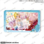 ラブライブ！スクールアイドルフェスティバル ALL STARS プレートアクリルスタンド μ's 絢瀬絵里 [キャラクターグッズ]