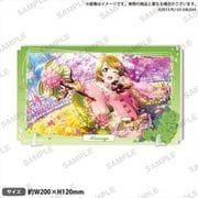 ラブライブ！スクールアイドルフェスティバル ALL STARS プレートアクリルスタンド μ's 小泉花陽 [キャラクターグッズ]