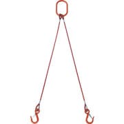 TWSP2P6S1 [TRUSCO 2本吊玉掛ワイヤーロープスリング（カラー被覆付）アルミロックタイプ 赤透明1M]