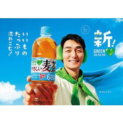 ヨドバシ.com - サントリーフーズ GREEN DA・KA・RA やさしい麦茶