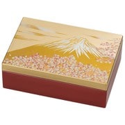 富士雅桜 アクセサリーBOX 6V-425