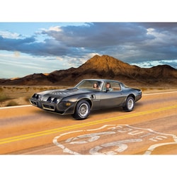 【ゆうゆう】ニッコー ファイヤーバードトランザム 1／10 ゆうゆう】ニッコー ファイヤーバードトランザム 1／10 ゆうゆう