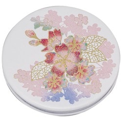 ソフトコンパクト R 輝桜 2L-763