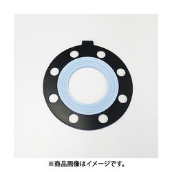 EA471AE-100 [#100 フランジパッキン（PTFE被覆）]