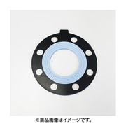 EA471AE-100 [#100 フランジパッキン（PTFE被覆）]
