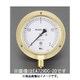 G 3/8"/ 75mm/ 0-3.0MPa つば付圧力計 EA729DC-30