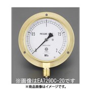 G 3/8"/ 75mm/ 0 -10MPa つば付圧力計 EA729DC-100