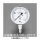 G 1/4"/100mm/0-2.0MPa 圧力計（ステンレス製） EA729DL-20