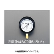 G 3/8"/100mm/0-3.0MPa 圧力計(つば付密閉) EA729DT-30