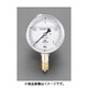 75mm/0-1.0MPa 圧力計（グリセリン入） EA729GE-10