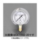 100mm/ 0-10MPa つば付圧力計（グリセリン入） EA729GJ-100