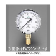 60mm/0-3.0MPa 圧力計（耐脈動圧形） EA729GK-30