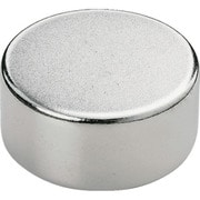 TRUSCO ネオジム磁石 丸形 外径6mmX厚み4mm 1個入 TN6-4R-1P