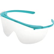 PSONINS013 [bolle SAFETY ニンカ フレーム5、レンズ20セット]