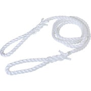PP-2430 [TRUSCO PPロープスリング 24mm×3m]