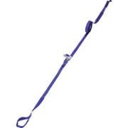 LBY-3535 [TRUSCO ベルト荷締機（JIS規格品） 35MM幅 509KG アイタイプ]