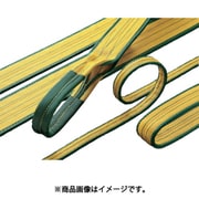A-1 [ロックスリング シグマ A-1 100mm×4.0m（両端アイ形）]