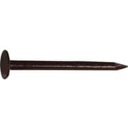 10183149 [ダイドーハント HP トタン釘 レンガ 1.8×25 80本入]