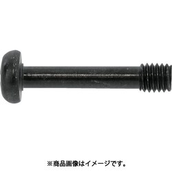 SUNCO 三価ブラック（＋）ナベ脱落防止ビス 5×25×5 （500本入） 00-00-J050-0050X0250-04