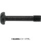SUNCO 三価ブラック（＋）ナベ脱落防止ビス 5×20×5 （600本入） 00-00-J050-0050X0200-04