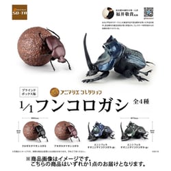 アニマリエコレクション 1/1 フンコロガシ 1個 [コレクショントイ]