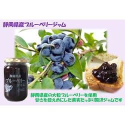 ヨドバシ.com - 伊豆フェルメンテ 伊豆フェルメンテ 静岡県産