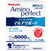 アミノパーフェクト マルチサポート 4.3g×28袋